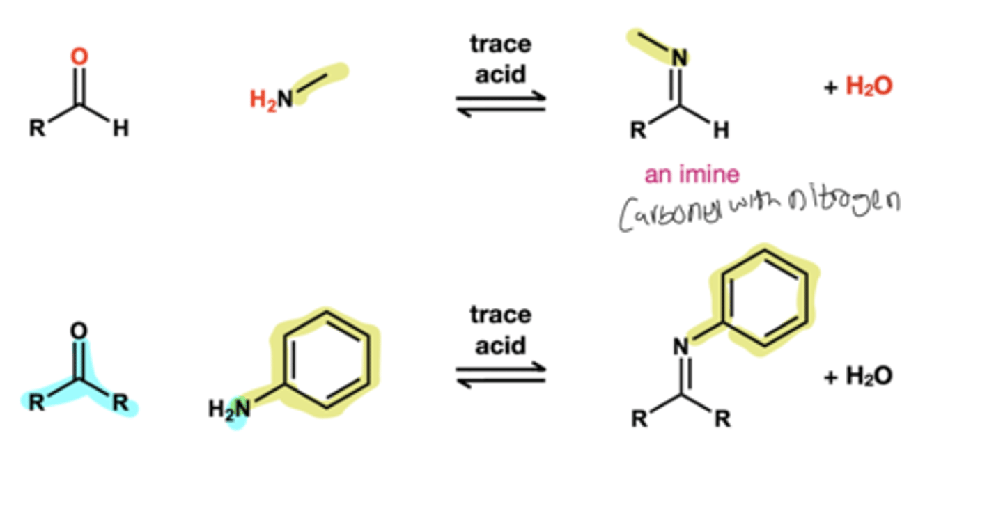 <p>primary amine, trace acid</p>