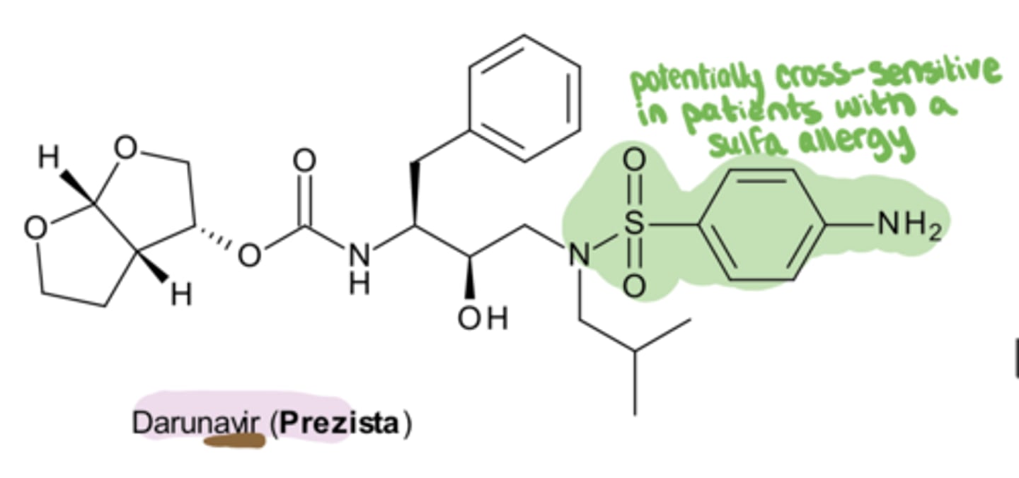 <p>HIV Protease Inhibitor- Darunavir</p><p>-can cause ___ (potentially more severe than other protease inhibitors)</p><p>-use with caution in patients with __ allergies</p>