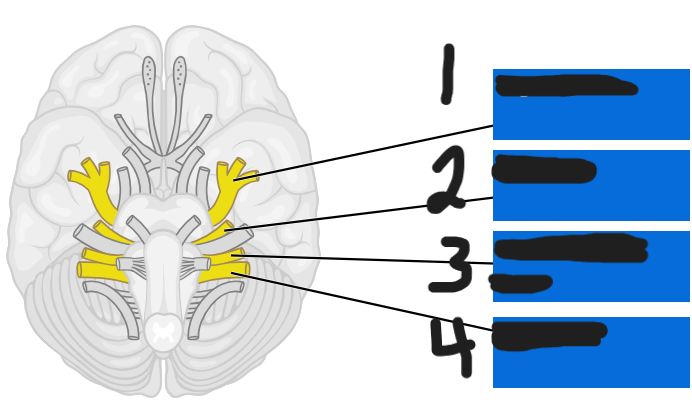 <p>what is number 2</p>