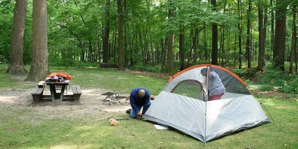<p>El campamento </p>