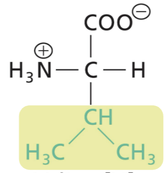 <p>Aliphatic R, highly hydrophobic (interactions)</p>