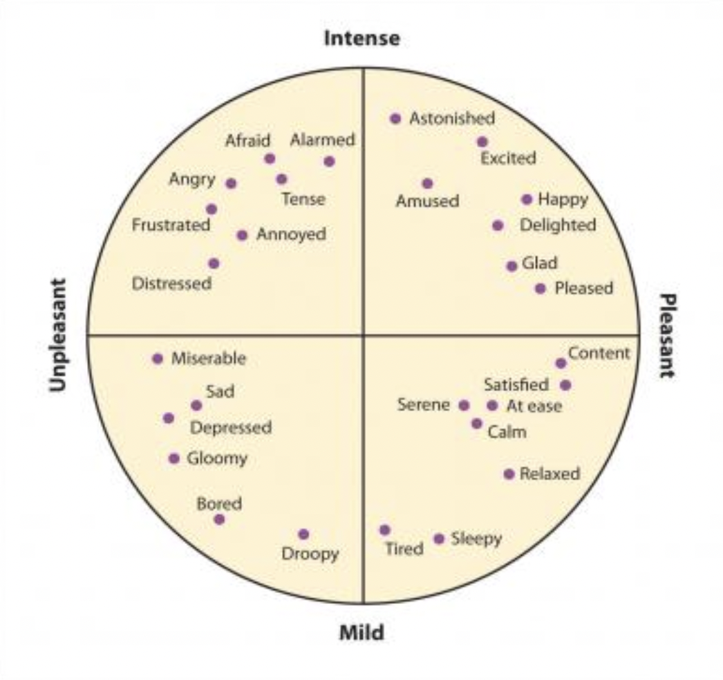 <p><strong>Valence: </strong>How positive or negative something is (x axis)</p><p><strong>Arousal:</strong> How activated you are (y axis)</p>