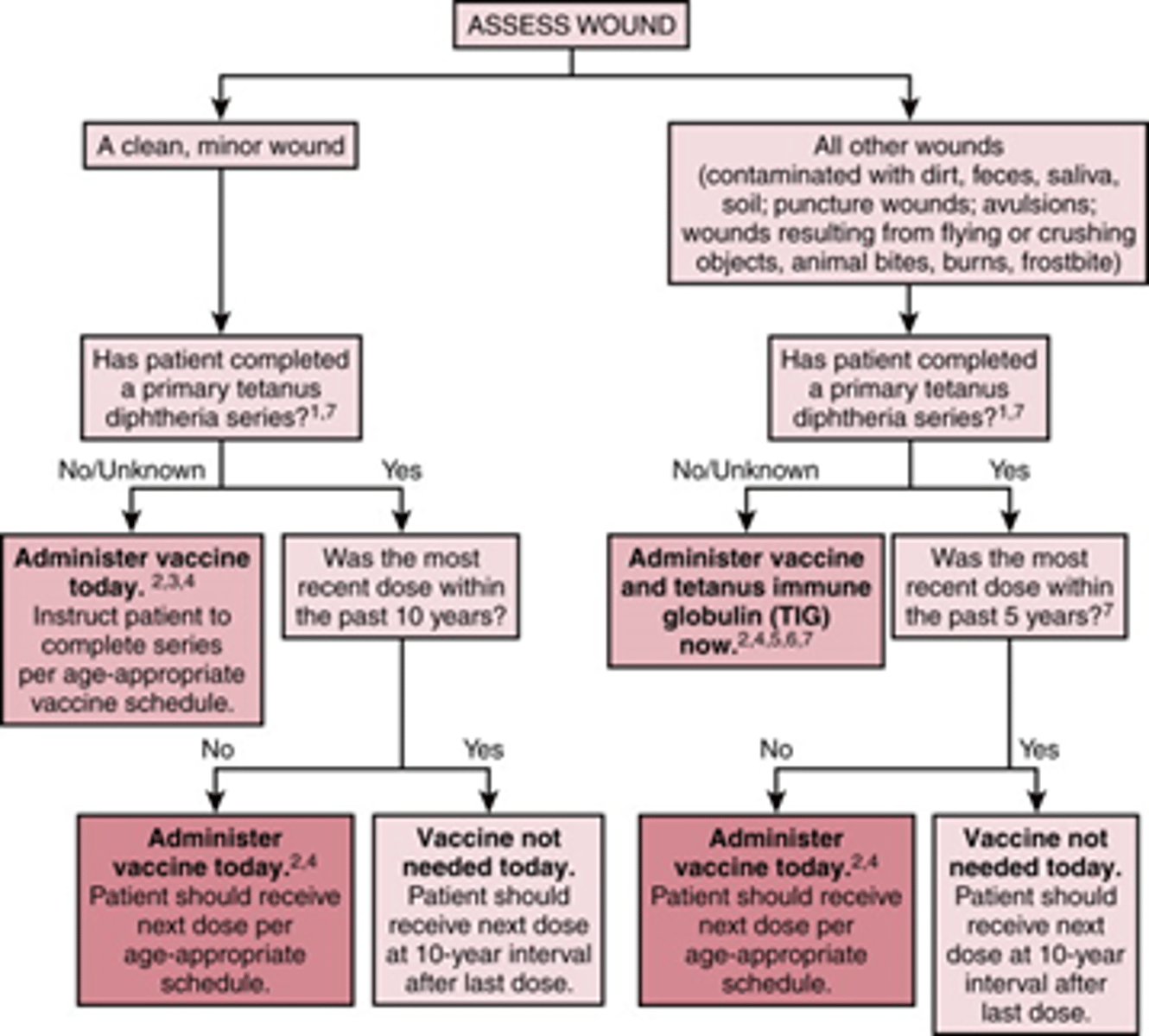 <p>Administer vaccine today </p><p>(wouldn't have to do it if < 5 years since prior dose)</p>