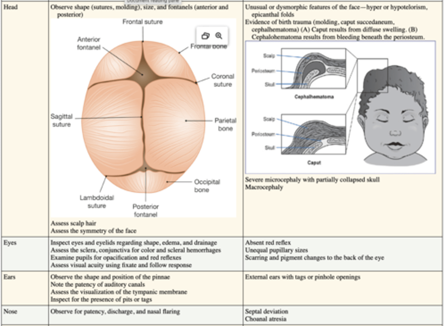 knowt flashcard image