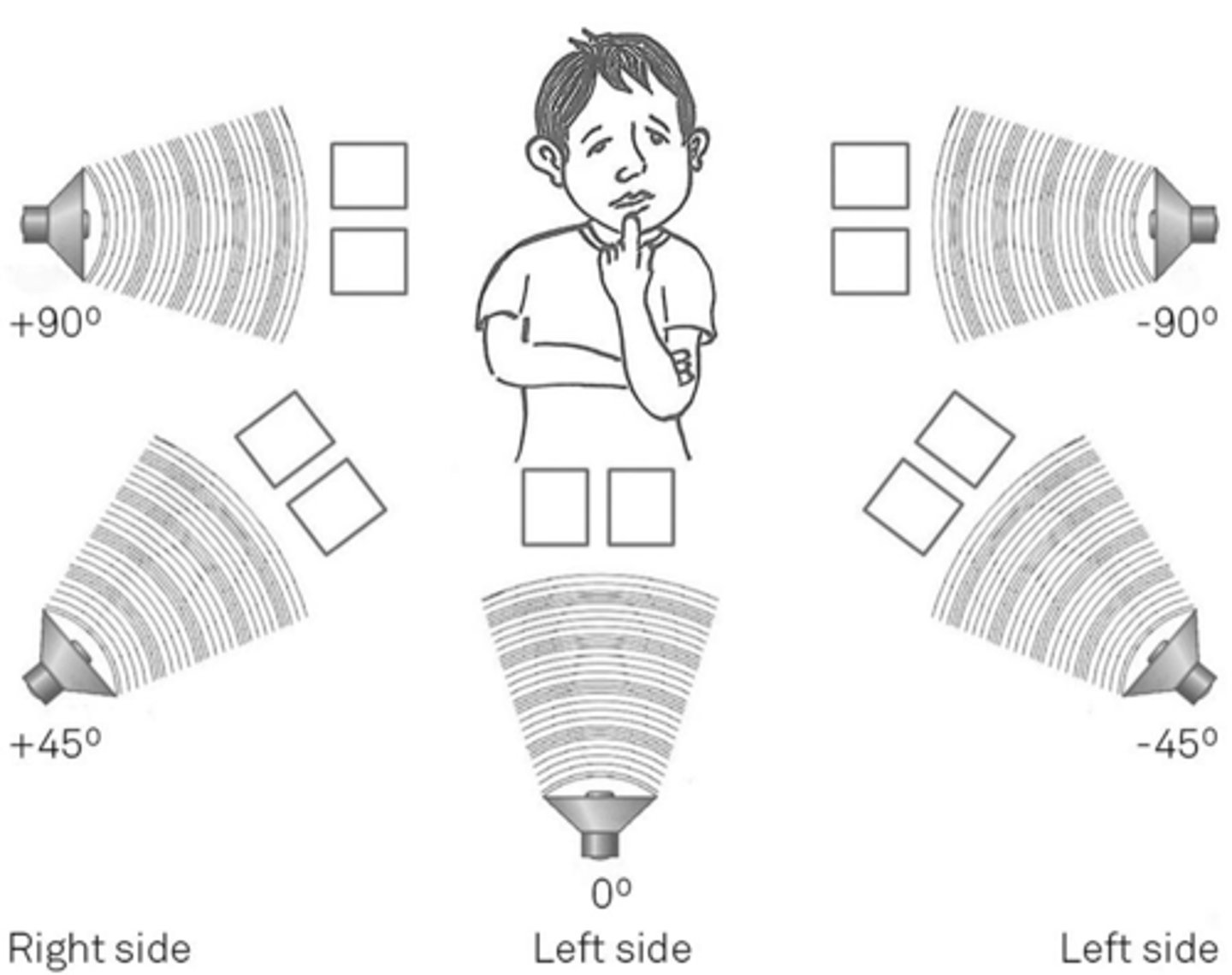 <p>The brain's ability to determine the location of a sound source in space. It relies on cues such as differences in arrival time and intensity between the ears, as well as spectral cues, to accurately locate sounds.</p>