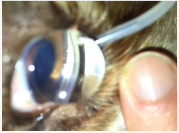 <p>what is this?</p>