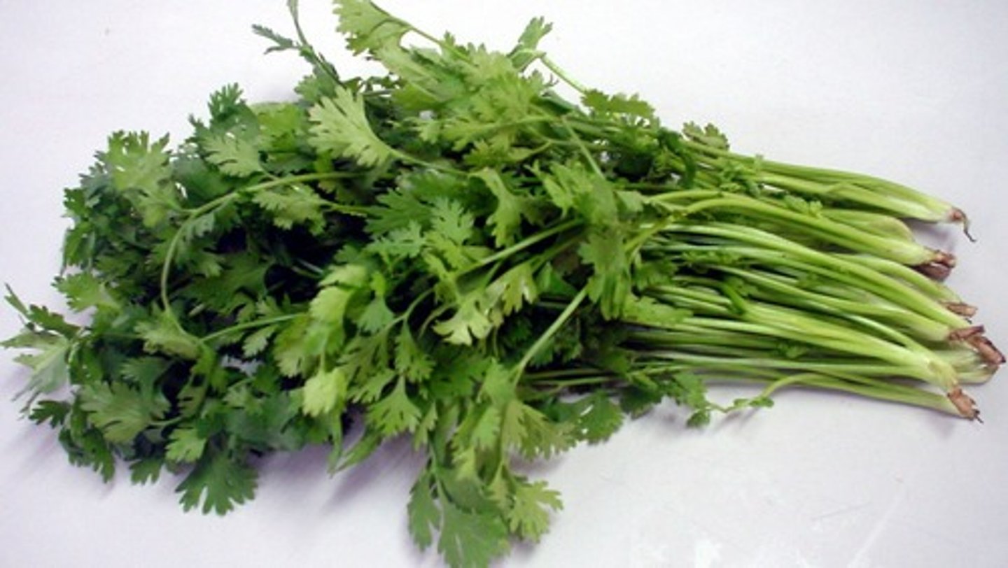 <p>xiānxiāng: fresh fragrance</p>