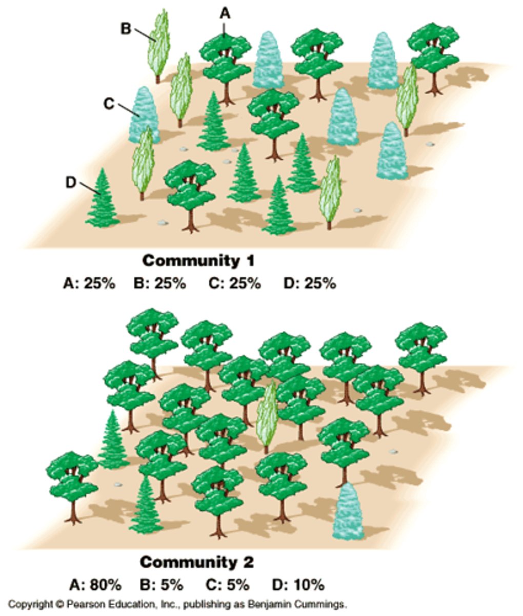 <p>These two communities have the same species richness</p>