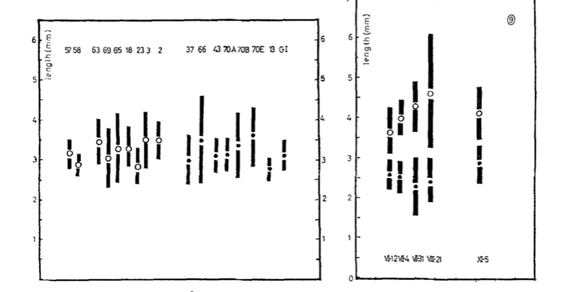 <p>Fenchel’s (1975) snails also show this pattern in shell size when comparing allopatric (left) and sympatric (right) populations (character displacement)</p><p></p><p>in pic: you can see that the black spots have shorter length when living with the white spots compared to living alone</p>