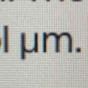 <p>a micrometre</p>