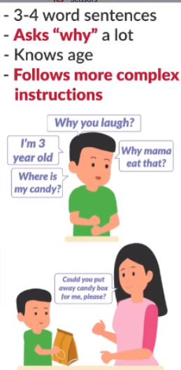 <p>- <strong>Identifies</strong> parts on an object (nose on doll)</p><p style="text-align: left">- Identifies <strong>complex body</strong> parts (knee, chin)</p><p style="text-align: left">- Speaks in <strong>sentences</strong></p><p style="text-align: left">- Understands <strong>direction</strong> (in, out, on, under)</p>