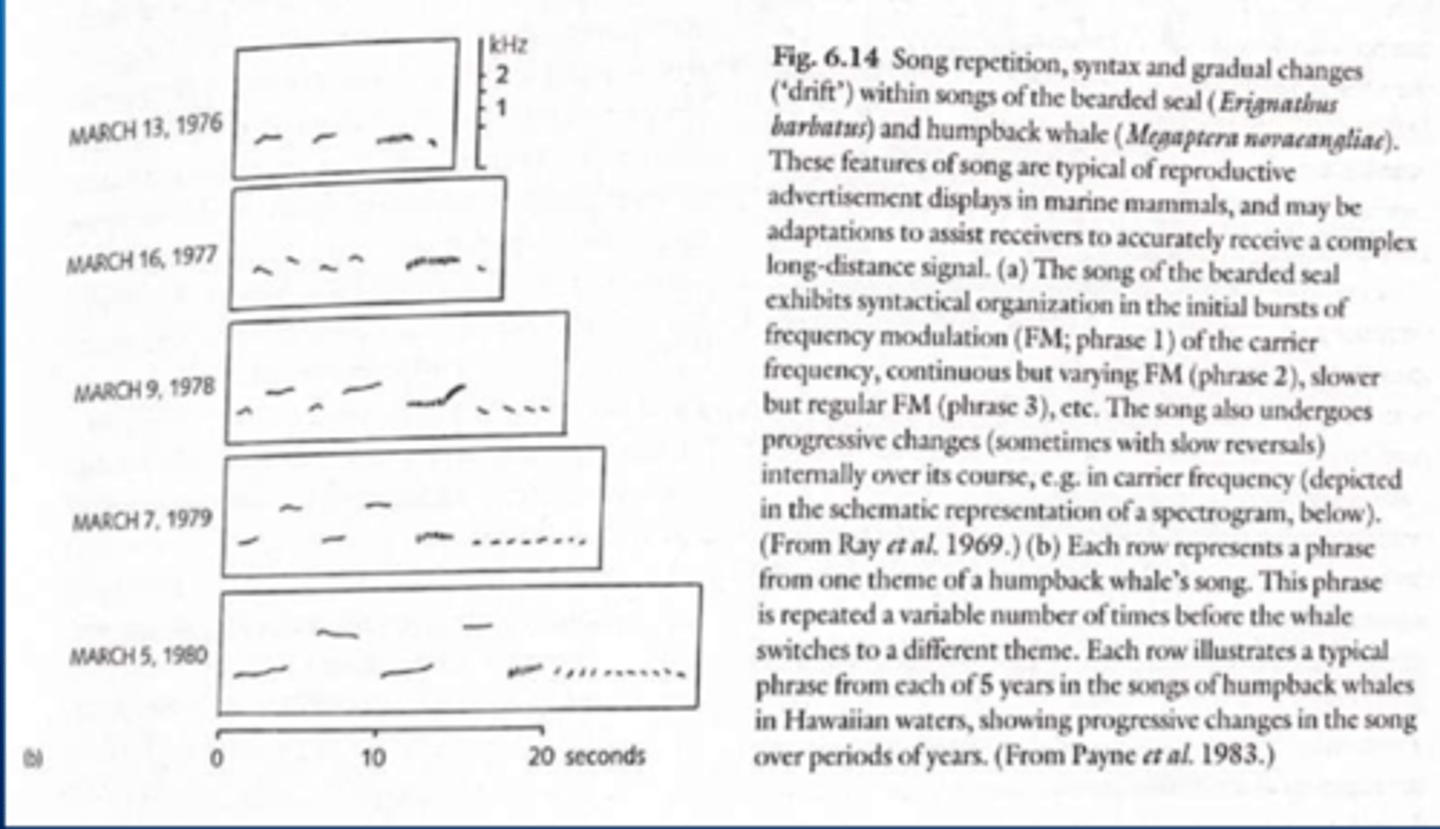 <p>Syntactical rules in humpback whale songs</p>