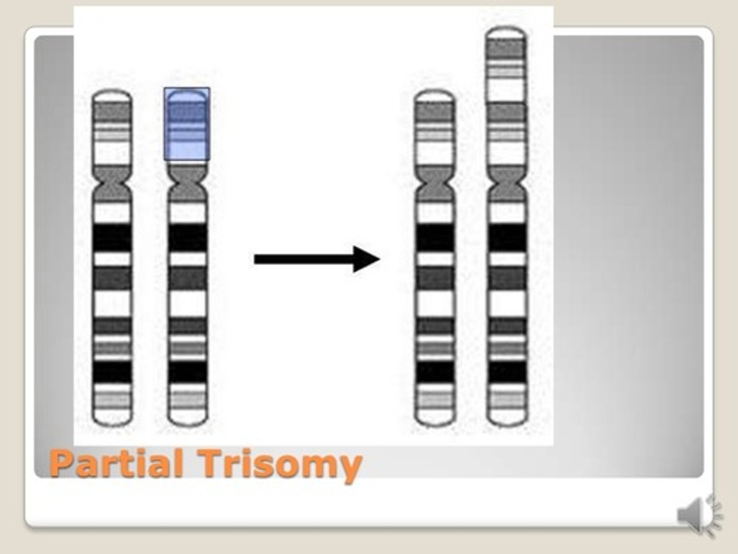 <p>Only an additional small section of a chromosome is present in each cell</p>