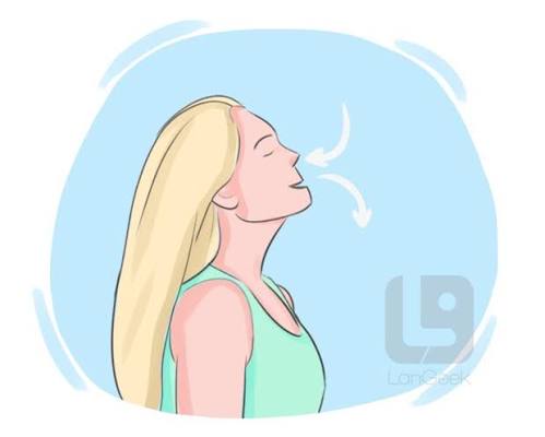 <p>breathe </p>