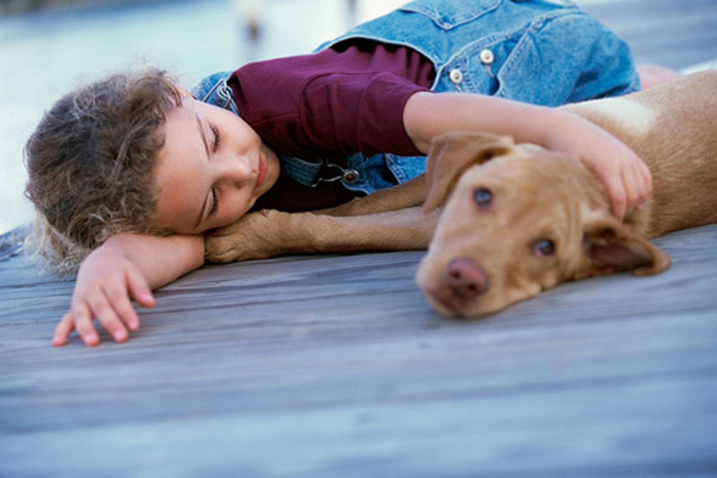 <p>nằm, đặt lưng xuống</p>