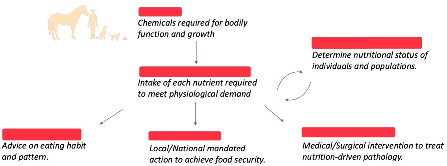 <p>Fill in the blanks</p>