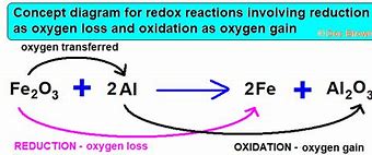 <p>This is where both oxidation and reduction occurs in a single reaction</p>