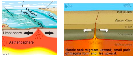 <p>A boundary where plates pull away/ apart from each other, occurs in oceans mostly.</p>