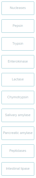 <p>Indicate where each enzyme (or its inactive precursor) is produced.</p><p><span style="font-size: inherit; font-family: inherit"><br>mouth vs pancreas vs stomach vs small intestine</span></p>