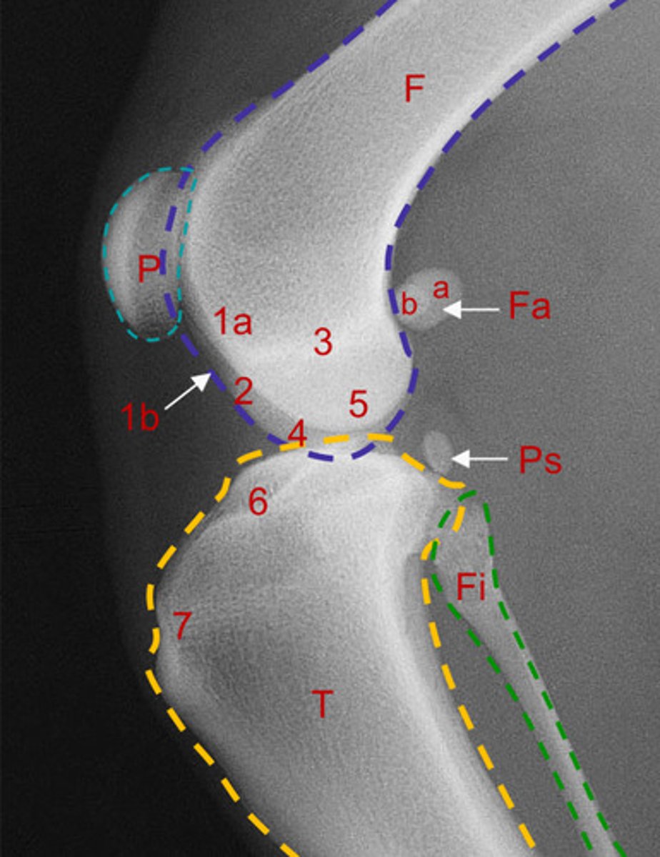 <p>What is number 6?</p>