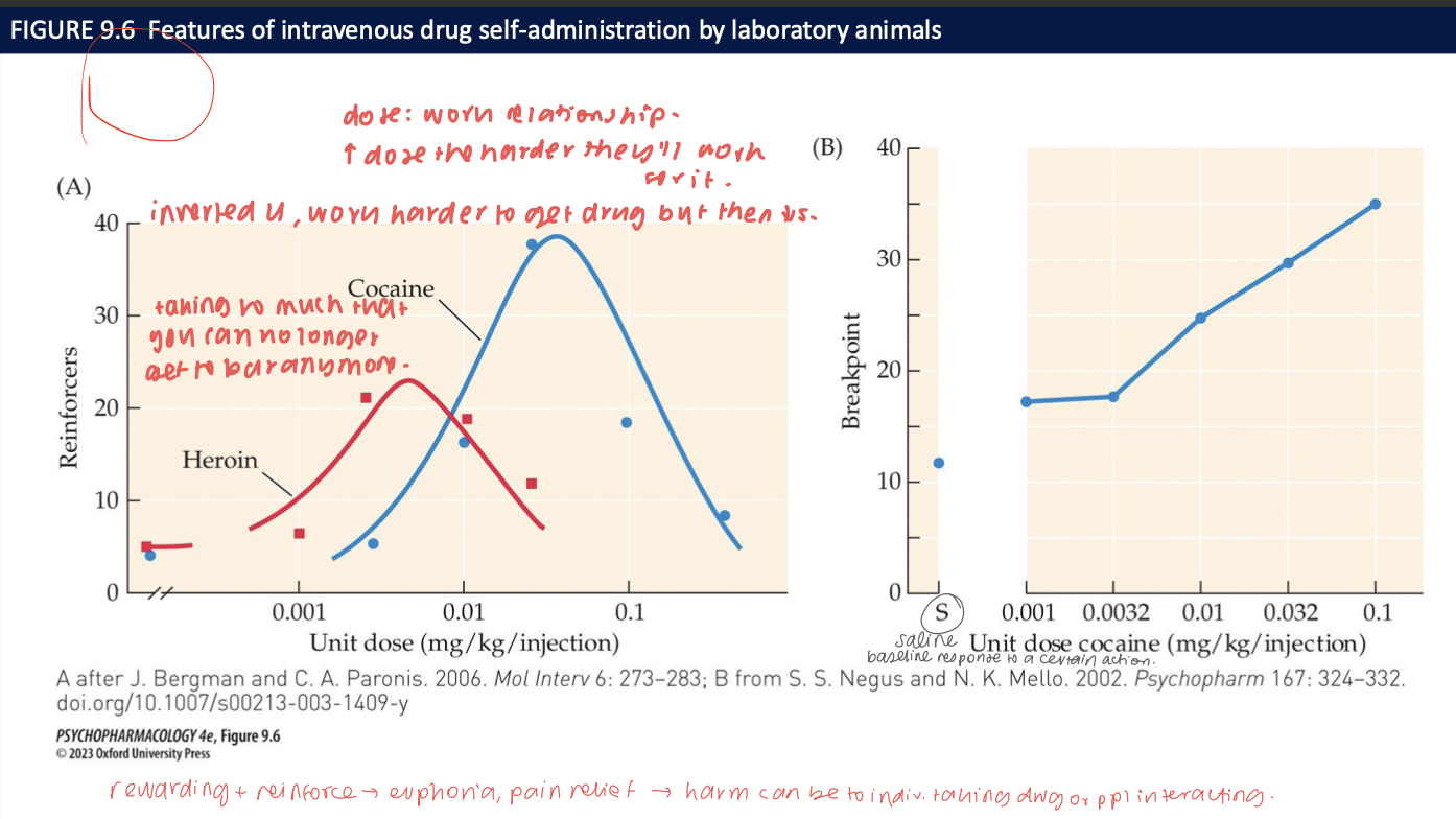 <ul><li><p><strong>FR:</strong> same number of presses per infusion; yields <strong>U-shaped</strong> dose–response for reinforcers (low dose = weak effect; mid = peak; high dose = aversion/sedation ↓ responding). </p></li><li><p><strong>PR:</strong> response requirement escalates each infusion; the <strong>breakpoint</strong> (last ratio achieved) indexes <strong>motivation/reinforcing strength</strong> of the drug.</p></li></ul><p></p>