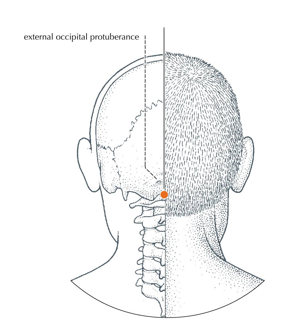 <p>DU-16</p>