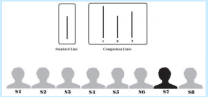 <p>shown a standard vertical line, and 3 comparison lines of different lengths </p>