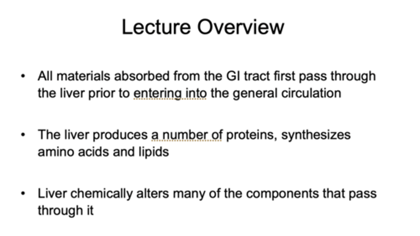 <p>Liver</p>