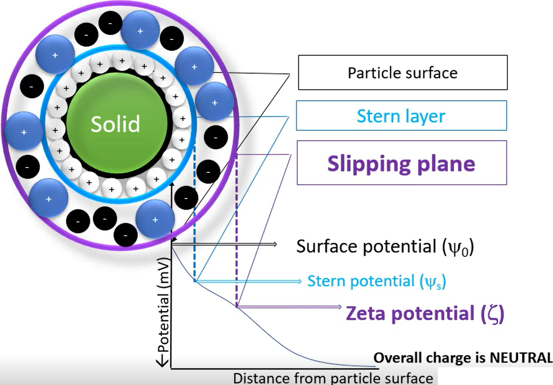 <p>Particle surface - Just the surface of the dispersed phase in the suspension, no additives</p><p>Stern layer - If the particle surface is negatively charged (for example), then it will attract positively charged cations, which forms a layer around the surface (the ions are not the dispersing phase, just other random ions in the solution)</p><p>Slipping plane - Other ions may be pushed in/out by the stern layer, causing one final layer to form around it. The potential around the slipping plane is the Zeta potential, and is essentially the overall surface charge.</p><p></p><p>Stern and slipping plane both move with the particle</p>