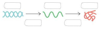 <p>&nbsp;</p><p><span style="line-height: 1.5;"><span>The first arrow between the blue and green molecules represents which of the following?</span></span></p>