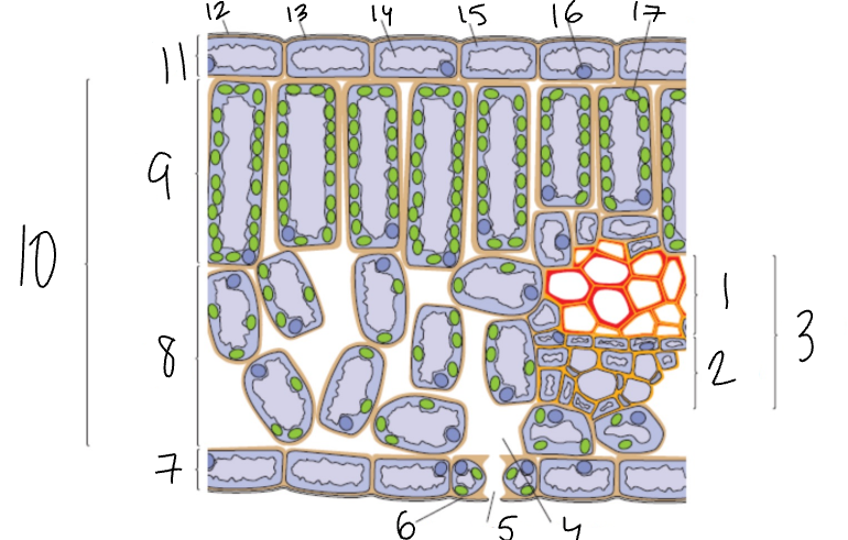<p>What is 12?</p>