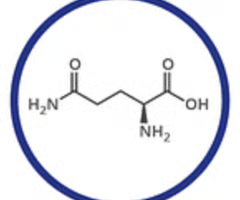 <p>glutamine (gln, q)</p>