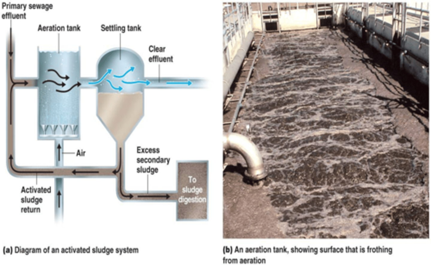 <p>a portion of the sludge is cycled back to where waste water begins secondary treatment<br>(complex to operate and high power consumption)</p>