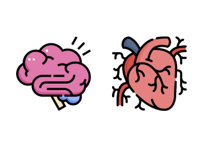 <p>Myocardial infarction, stroke </p>