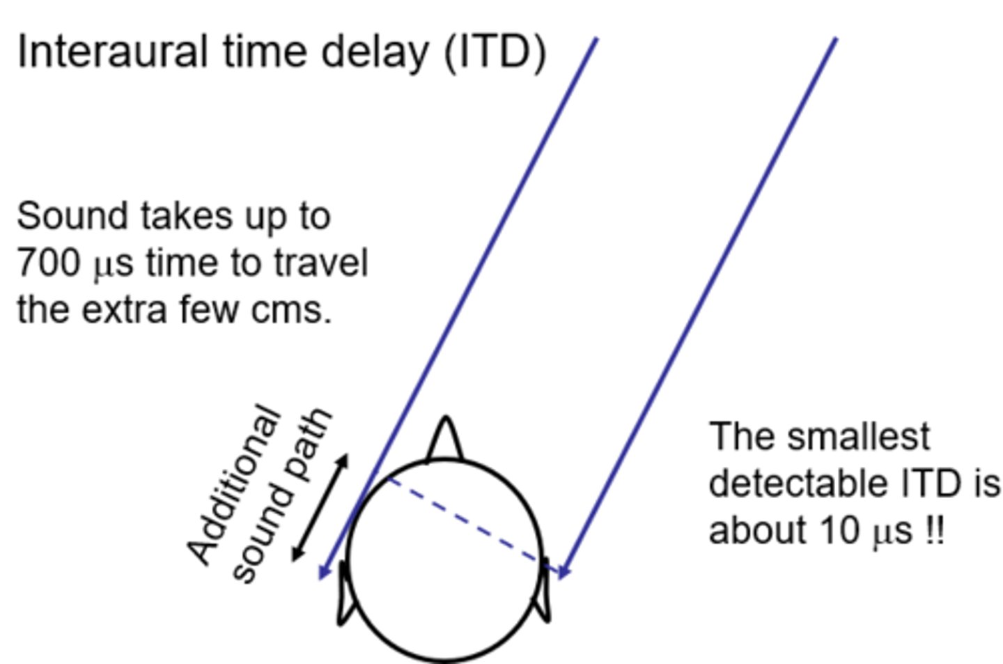 <p>Sound takes up to 700 micro secs time to travel the extra few cms.</p><p>The smallest detectable ITD is about 10 micro secs !! -by some people</p><p>-works for lower frequencies -to do wth loss of phase locking#complicated</p>