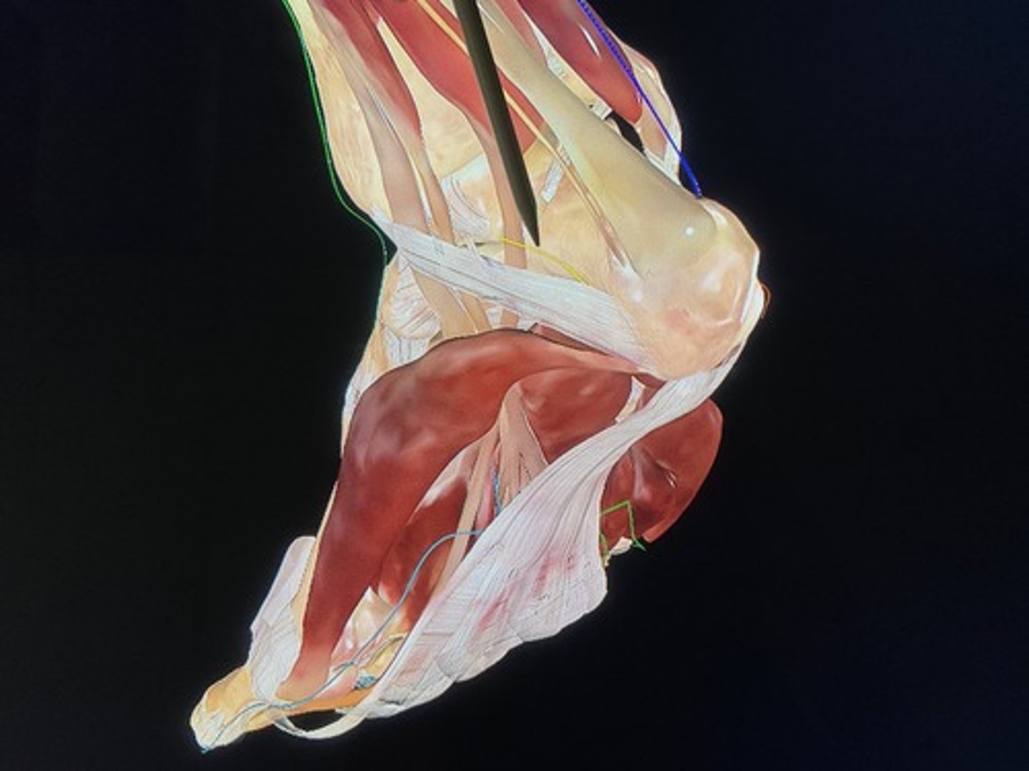 knowt flashcard image