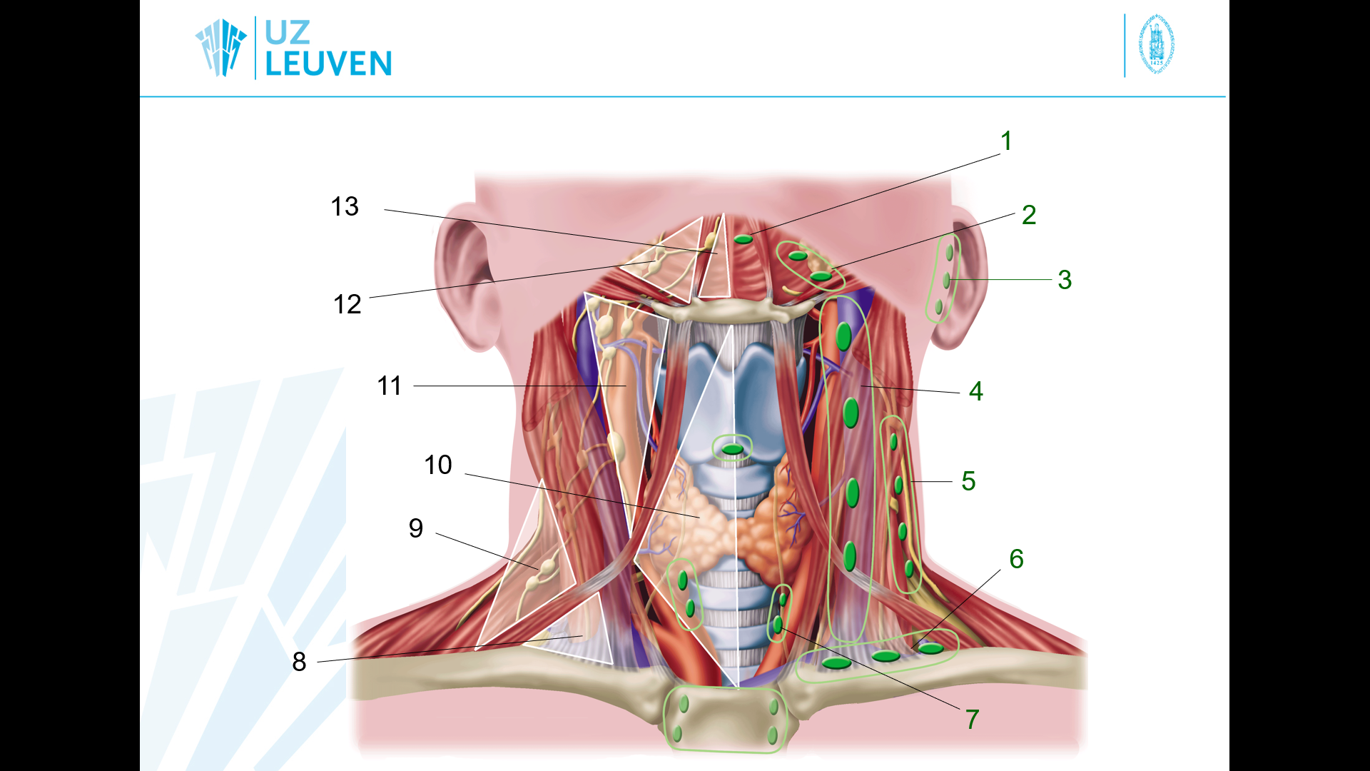 <p>6</p>