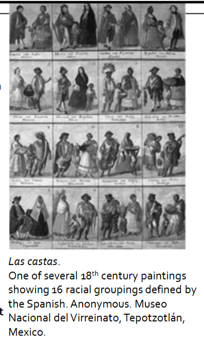 <p>• Spaniards brought many prejudices against Jews and Muslims with them</p><p>to New Spain, and applied them in a new cultural context</p><p>• Castas—ethnic castes that defined rights and opportunities</p><p>• Peninsular Spaniard—had the most privileges and status</p><p>• Creole—Spanish ancestry, but born in New Spain, so of lower status</p><p>• Mestizo—person of mixed Spanish and Indigenous descent</p><p>• Mulatto—person of mixed Spanish and African descent</p><p>• Sambaigo (Zambo)—person of mixed Indigenous and African descent</p><p>• Free African—had citizen status</p><p>• Indian—had some legal rights, including land ownership</p><ul><li><p>African slave—had no legal rights</p></li></ul><p>**Many of these terms are highly problematic if used today</p><p>**It is important to understand how the terms were used in the context of Colonial history, and how racism and caste structure affected (and continues to affect) peoples lives&nbsp;</p>