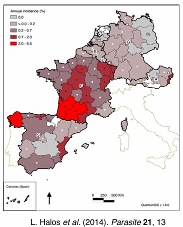 <p>What does this image show?</p>