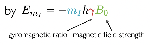 <p>m(I) = controls number of Zeeman eigenstates<strong><br></strong>γ = gyromagnetic ratio = unique for a nucleus = controls extent of Zeeman splitting (size of E gap between eigenstates) </p>