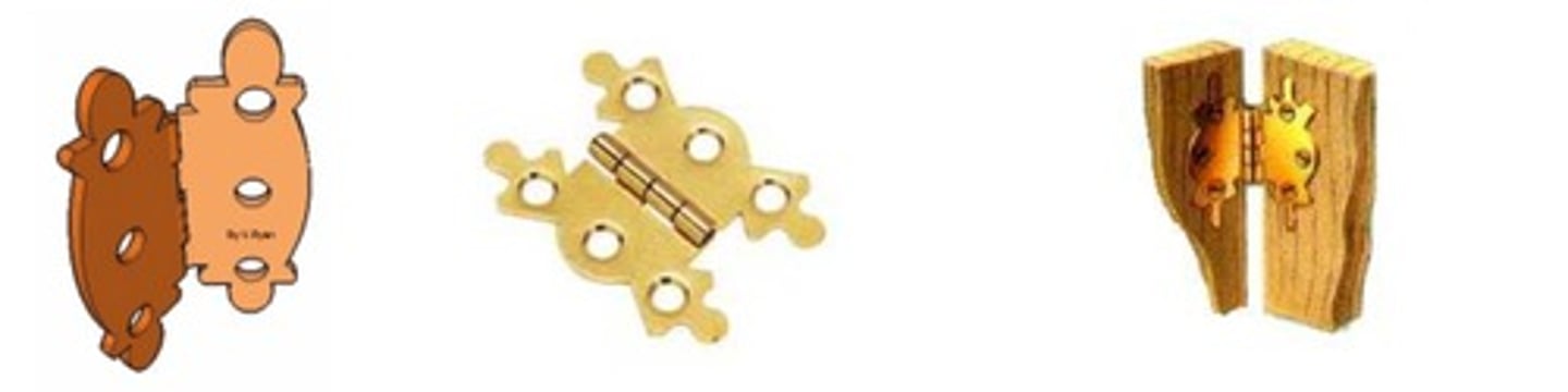 <p>This is often used on light-weight doors and different shapes and patterns are available. They are generally easy to fit.</p>