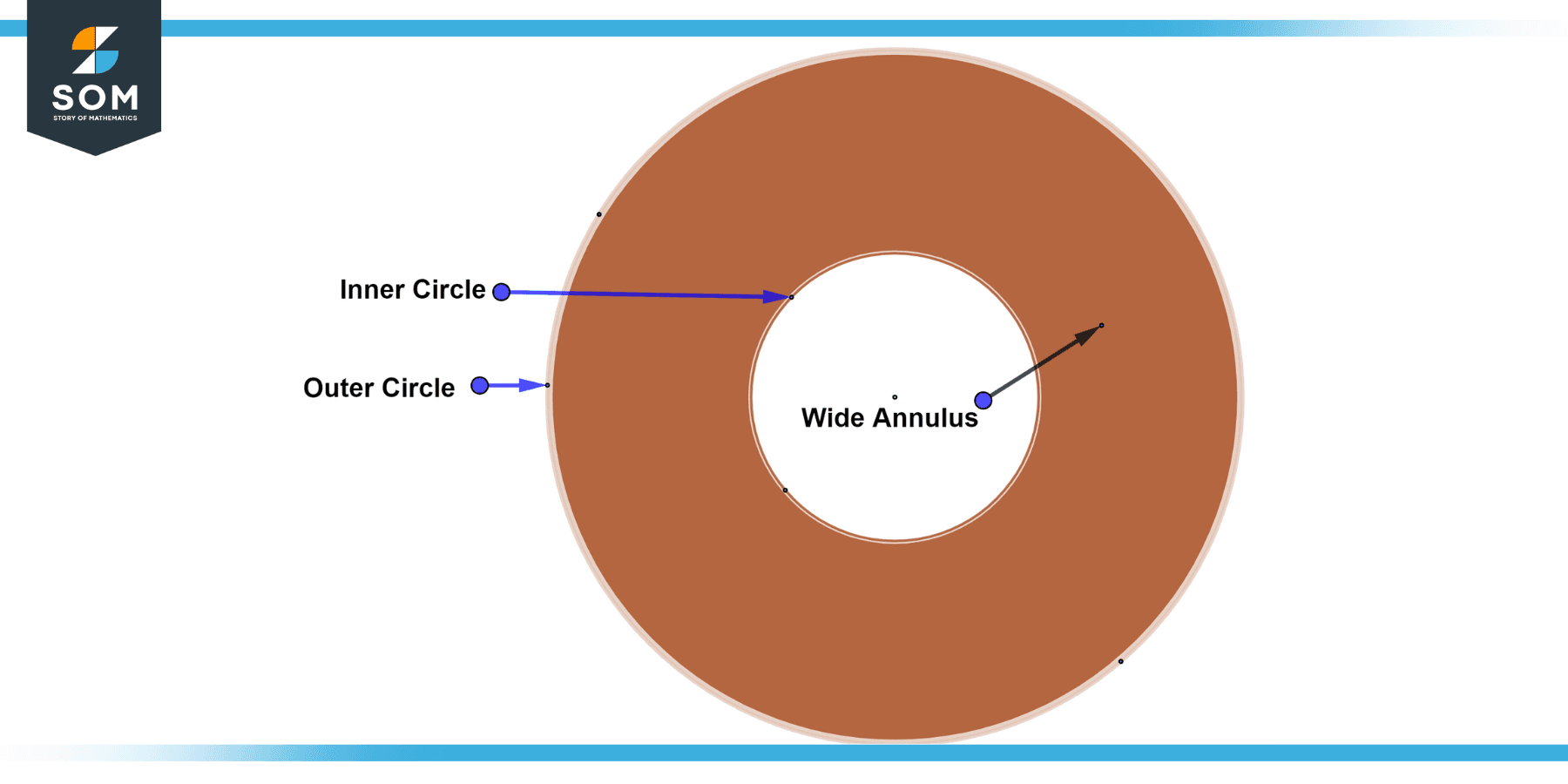 <p>Annulus</p>