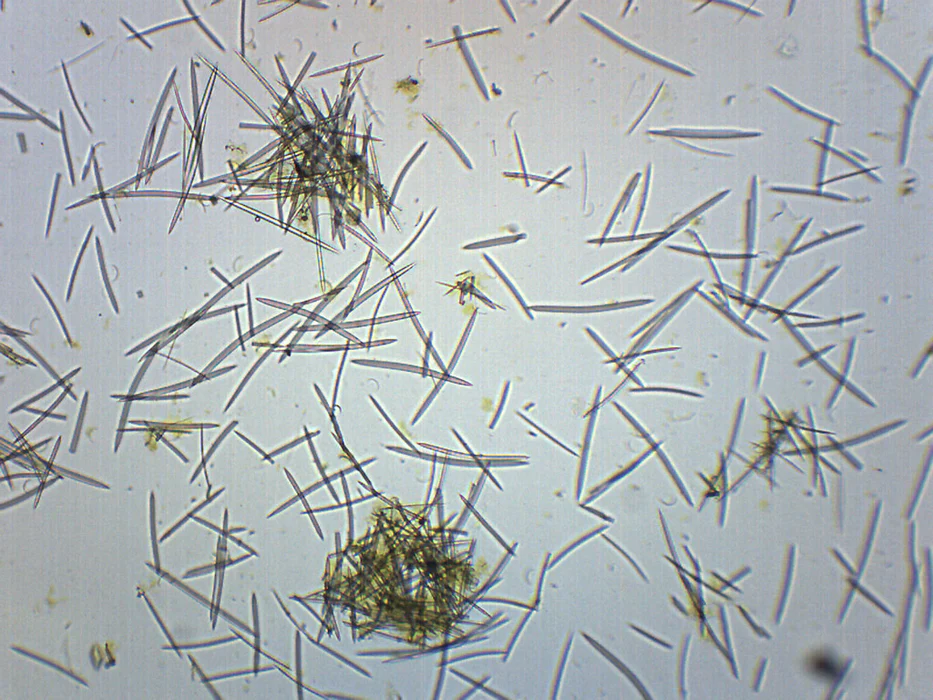 <p>What are these called?</p>