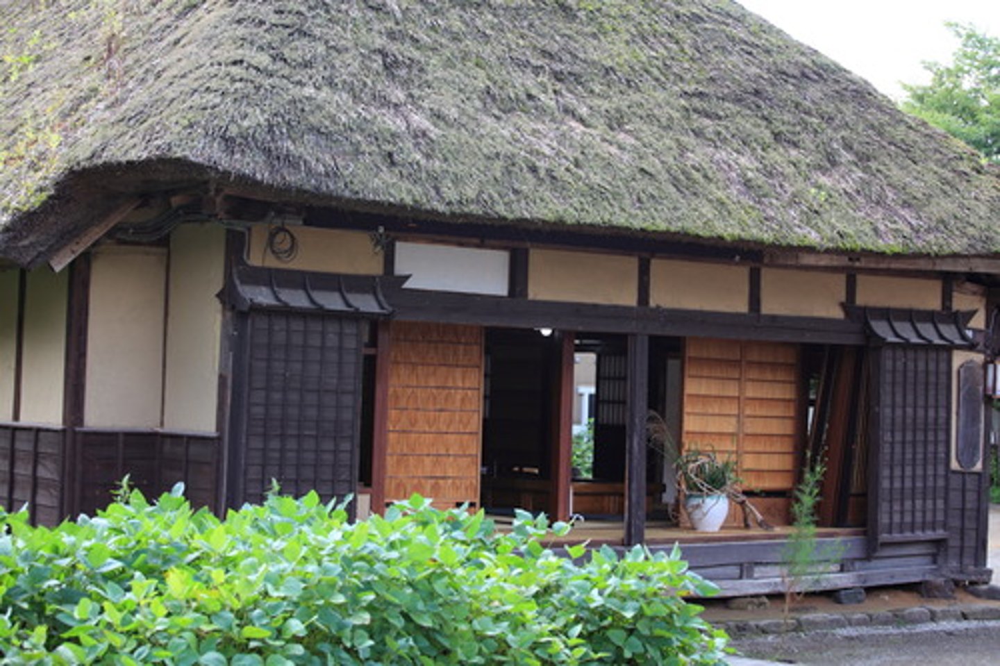 <p>home</p>