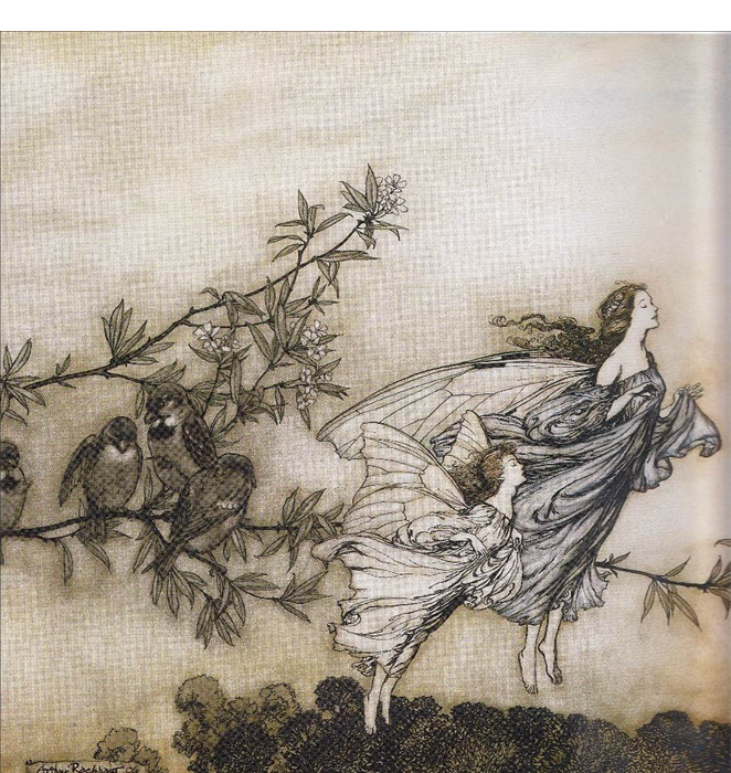 Arthur Rackham, The Fairies Have Their Tiff With the Birds, 1906 (from "Peter Pan in Kensington Gardens")
