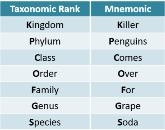 Taxonomy