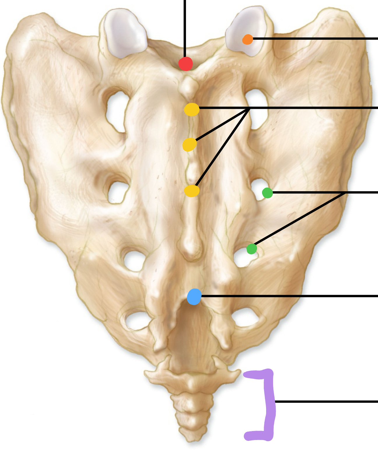 <p>What is the blue dot</p>