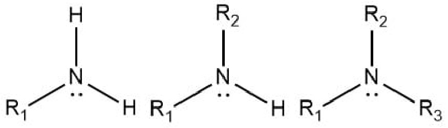 <p>RNH2, R2NH, R3N</p>