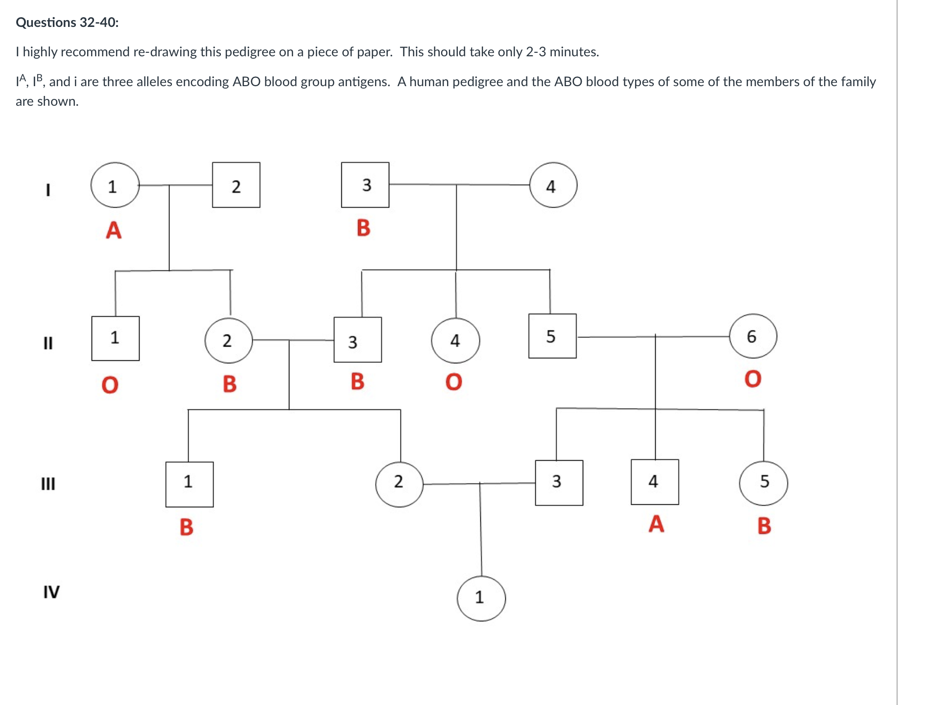 <p>What is the genotype of II-3?</p><p><br></p>