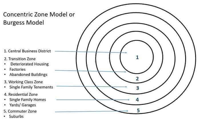 <p>Burgess’ Concentric Zone Model</p>